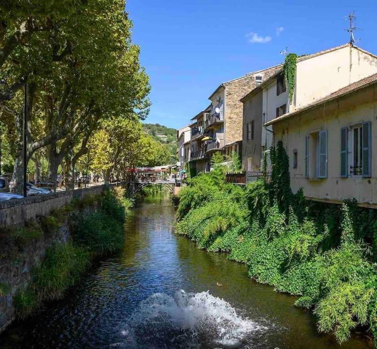 Le Pearl Appartement De Charme En Bord Riviere Collobrières Dış mekan fotoğraf